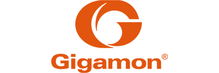 Gigamon logo in solid orange letters on a white background