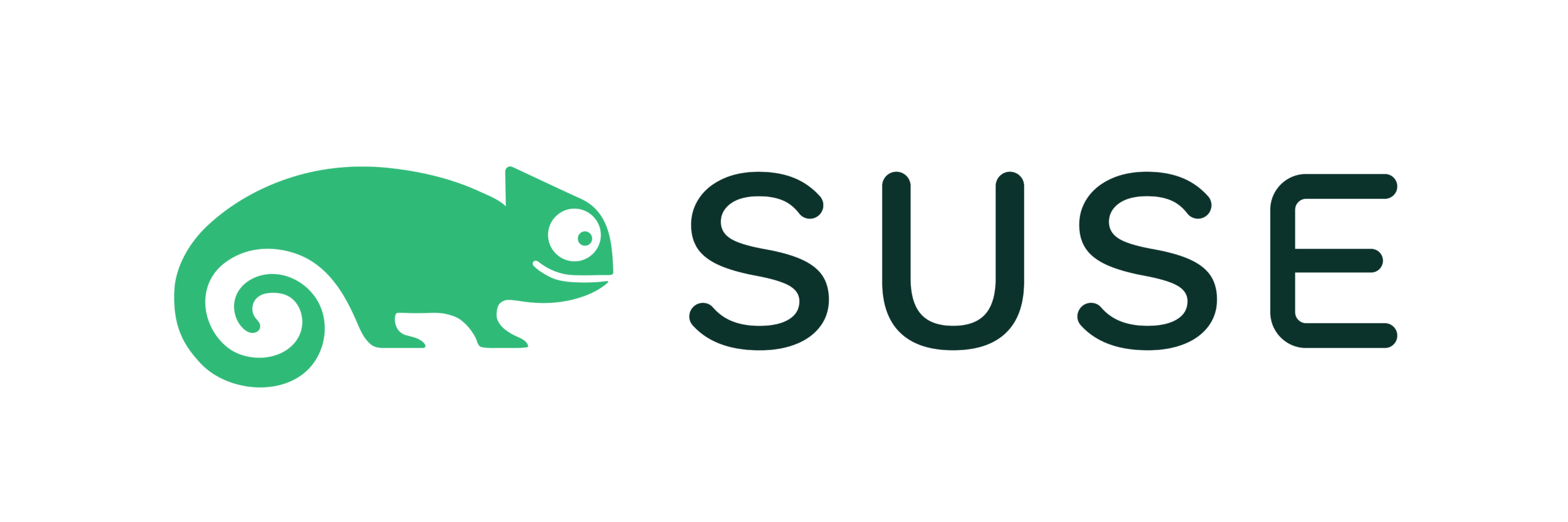 SUSE logo with green chameleon and text