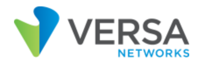 Versa Networks logo with blue and green design element